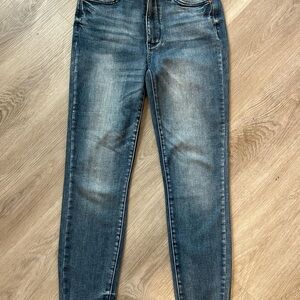 Judy Blue Medium Wash Skinny Jeans